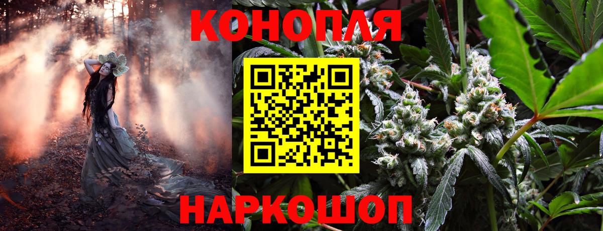 Бошки марихуана тримм Елизово